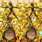 Ice Show Trophies.jpg
